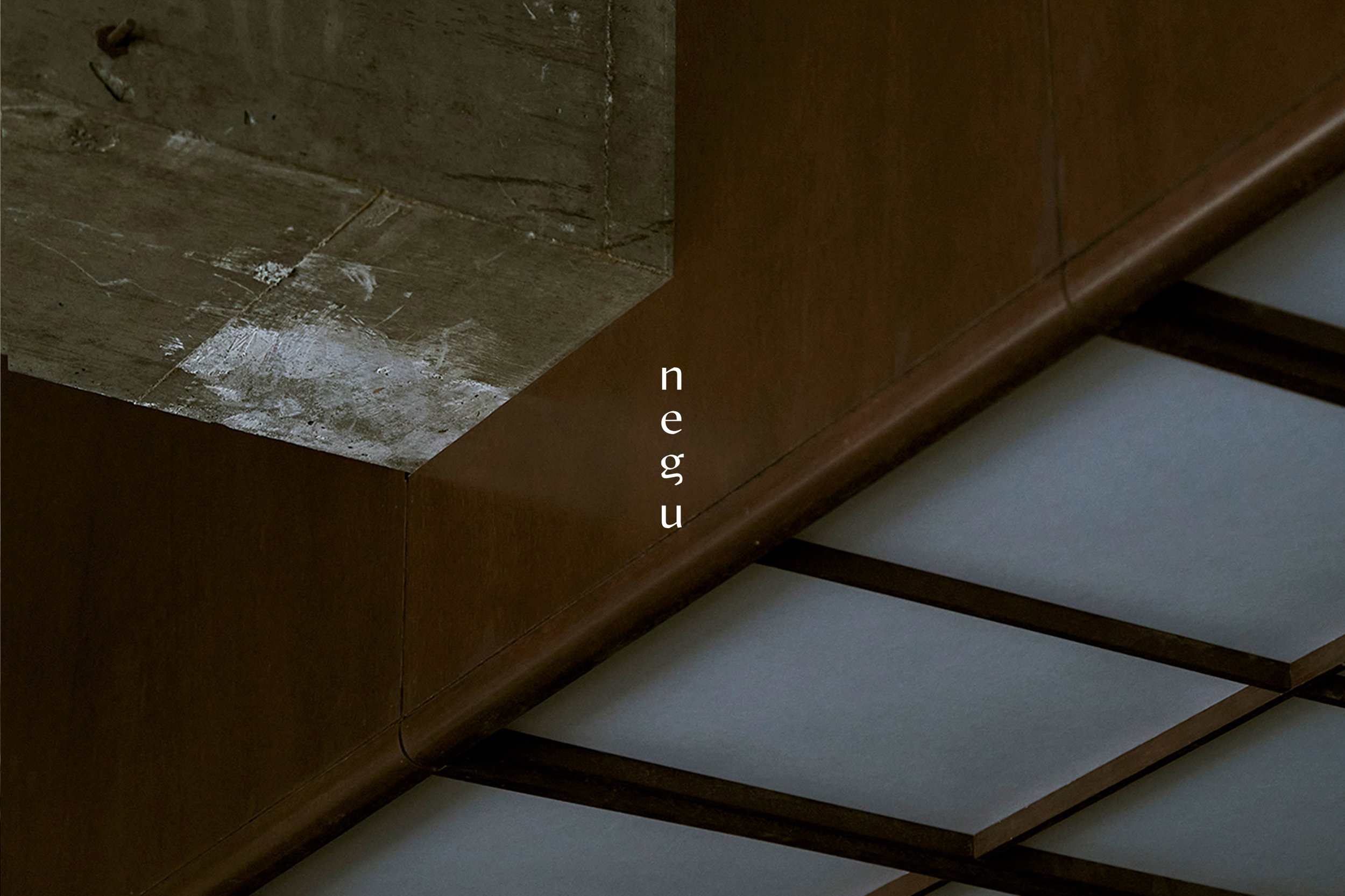 negu inc.
